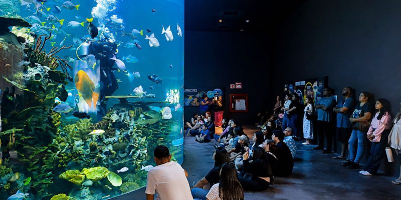 Gran Acuario Mazatlán celebra 3 años