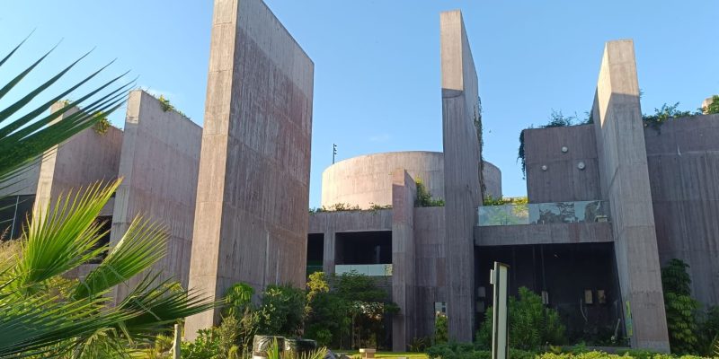 Arduo trabajo detrás del bienestar animal en Gran Acuario Mazatlán