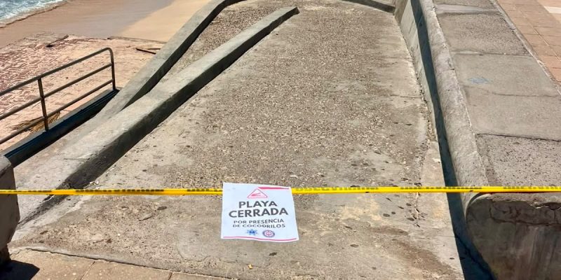 Cierran playas por presencia de Cocodrilo